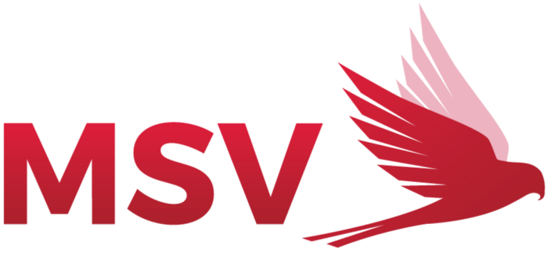 MSV