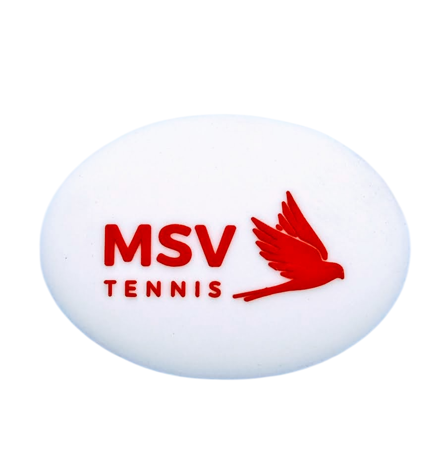 MSV 진동 방지기
